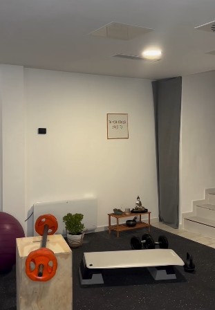 Zona de entrenamiento de la sala con esterilla, discos y un rincón con plantas